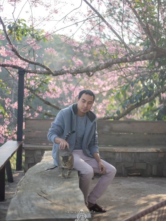  MA FAMILY FARM COFFEE