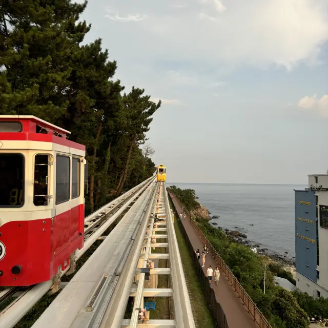 Sun, Sea, Sky Capsules!