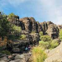 Wilderness Wonders: Grampians National Park's Majestic Beauty 