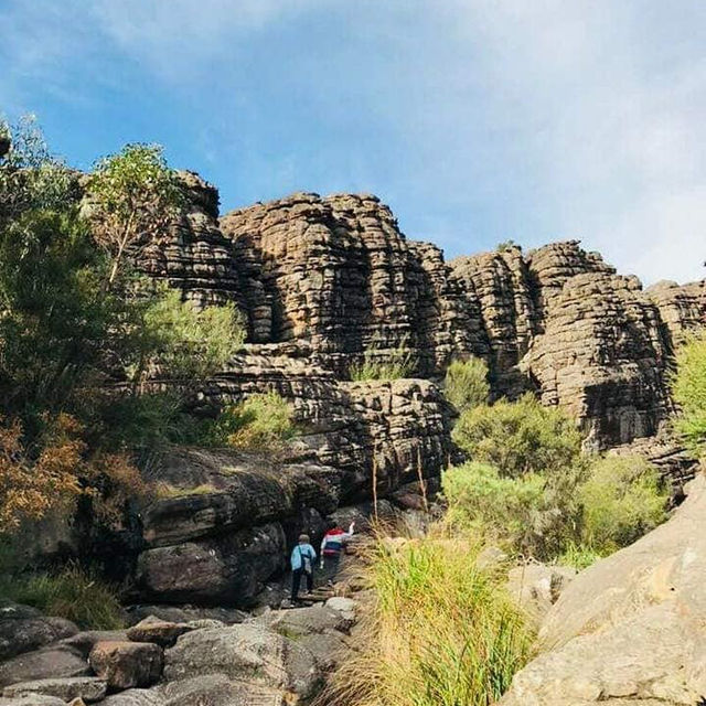Wilderness Wonders: Grampians National Park's Majestic Beauty 