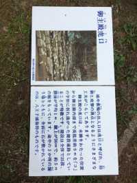 歷史的沉思：八王子城御主殿跡的壯麗遺跡