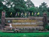 กางเต็นท์ นอนชิลท่ามกลางธรรมชาติ 