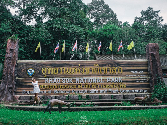 กางเต็นท์ นอนชิลท่ามกลางธรรมชาติ 