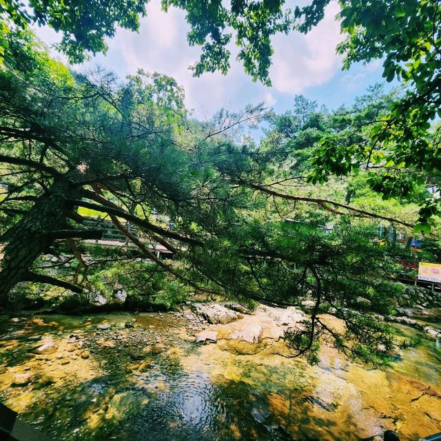 🏞백운계곡 !! 솔마루 식당 추천드려요!!👀👍