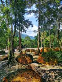 Hutan Lipur Ulu Bendul, a nature hidden gem in Kuala Pilah 🍃