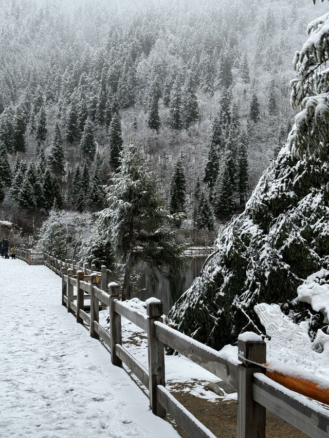 Dagu Lake 🌲🏔️