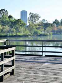 Best park in Houston