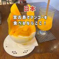 【宮古島】完熟マンゴーを食べるなら絶対ここ🥭