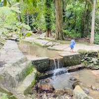 A Hidden Gem in Tokun Forest