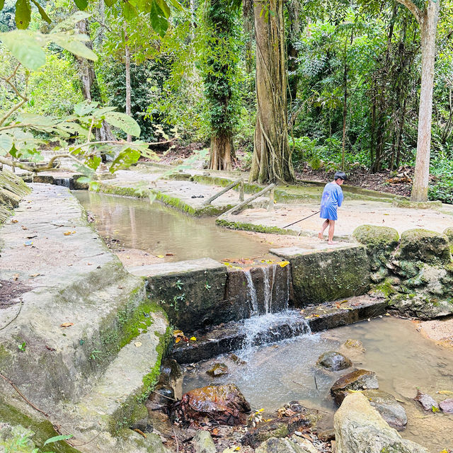 A Hidden Gem in Tokun Forest