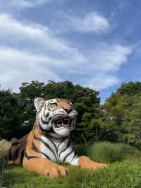 과천 서울대공원 동물원으로 놀러가보자~🎵🦓