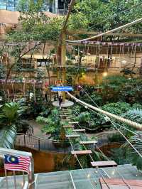 Urban Adventure at 1 Utama Treetop Adventure @ Rainforest
