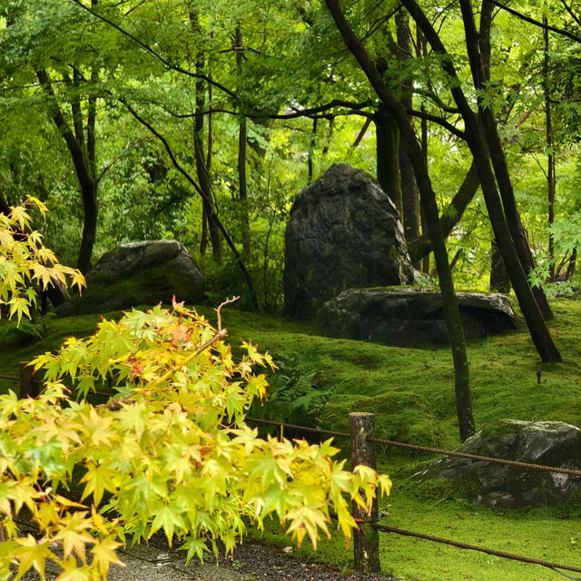 【大阪景點】西之丸庭園：雨中迷人景色～享受日本庭院風情