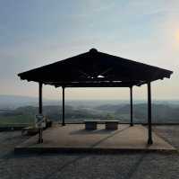 Steeped in Serenity: Yame Tea Paradise