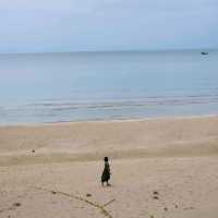 เนินทรายงาม GrandSandDune