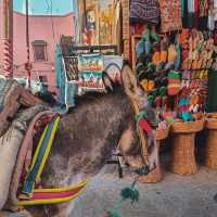 Marrakech’s Colorful Souks and Palaces