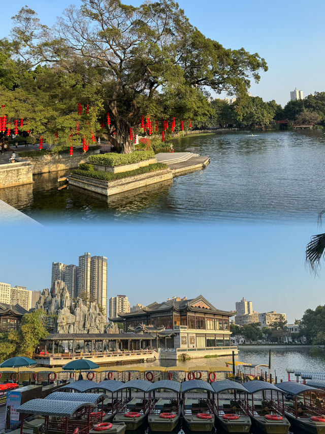 An Afternoon of Tranquility: Discovering the Beauty of Liwan Lake Park’s Golden Redwoods and Delphin