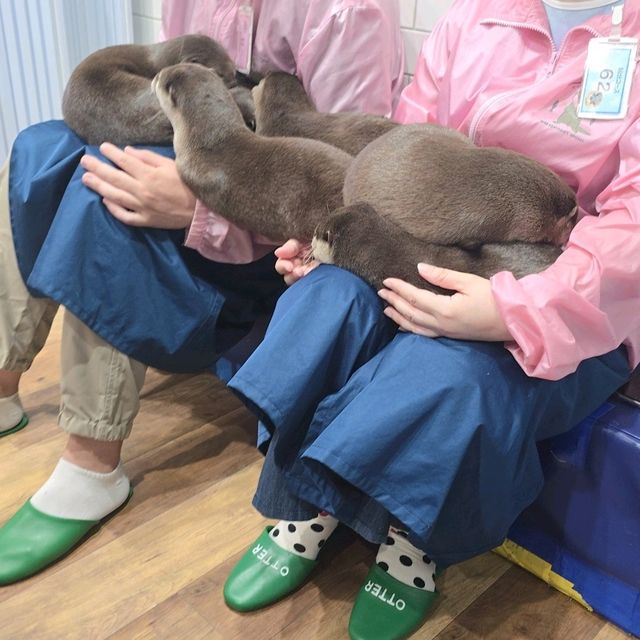 原宿竹下通超值好去處
