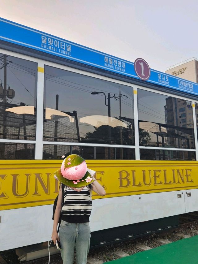 釜山必看 海雲台半日遊(*¯︶¯*)