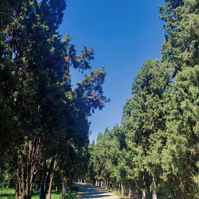 🎡生草國際雕塑公園🏔️ 戶外藝術殿堂🎡