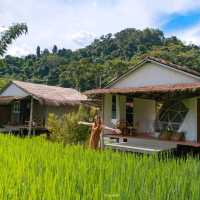 ที่พักที่ใกล้ชิดกับทุ่งนา กลางหมู่บ้านสะปัน น่าน