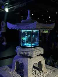 金魚のアートアクアリウム in銀座°･🐟