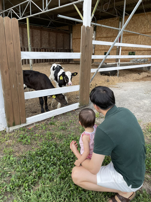 아이와 다녀오기 좋은 은아목장🐮