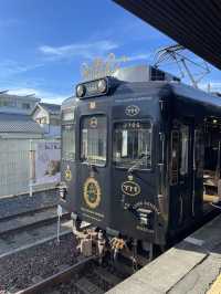 【和歌山県】とにかく可愛い！360度ネコ尽くしの観光列車