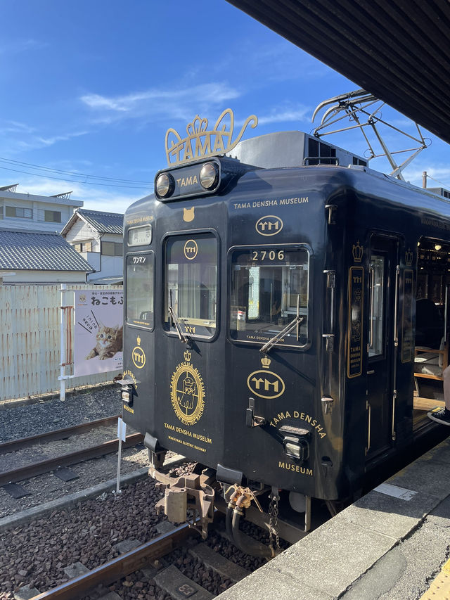 【和歌山県】とにかく可愛い！360度ネコ尽くしの観光列車