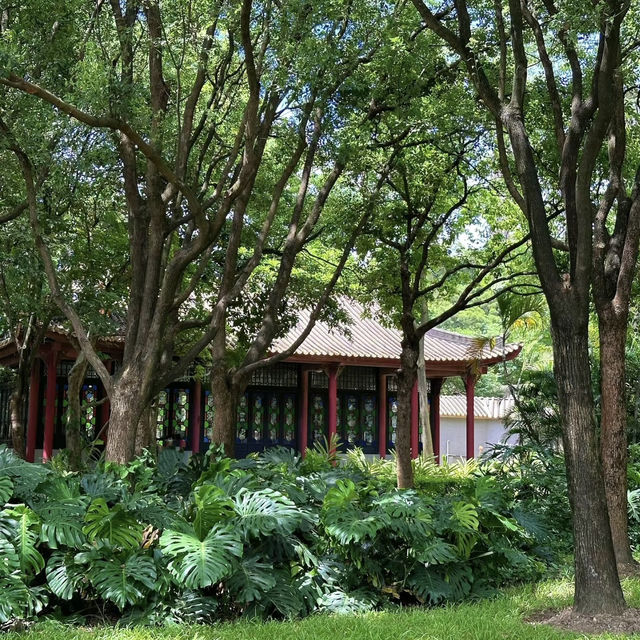 川沙古鎮：古色古香的江南水鄉🏞️🌊✨