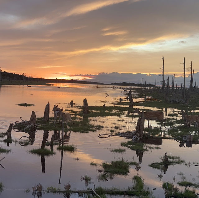 春国岱の夕焼け