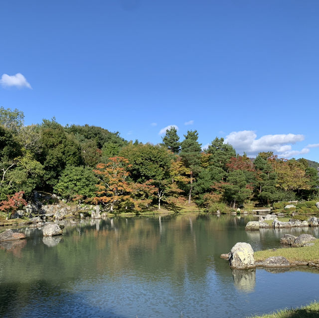 Zen Serenity at Tenryu-ji Temple in Kyoto