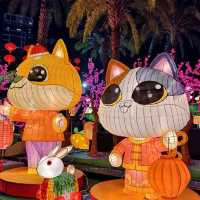 維園2024花燈晚會