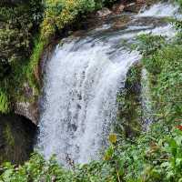 Chasing Waterfalls: Uncovering Atherton Tablelands' Hidden Gems