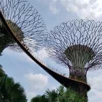 OCBC SKY WAY♪♪