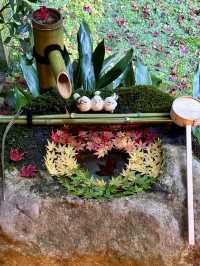 【京都紅葉】とても綺麗な花手水がたくさんあるお寺！