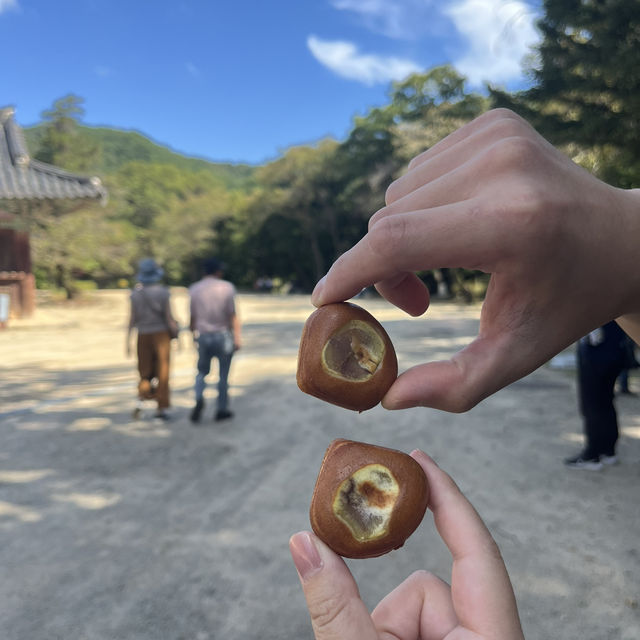 단풍으로 유명한 공주 마곡사 다녀왔어요 🍂🍁