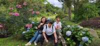 Spring Garden Kundasang, Beautiful floral and landscape