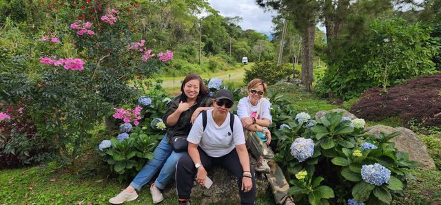 Spring Garden Kundasang, Beautiful floral and landscape