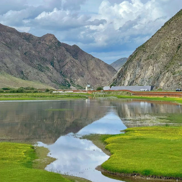 茂林寺沼及低地濕原：仙境濕地 🌿💧