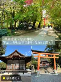 〜京都府〜ロスなし！サクッと巡れる京都宇治旅プラン！