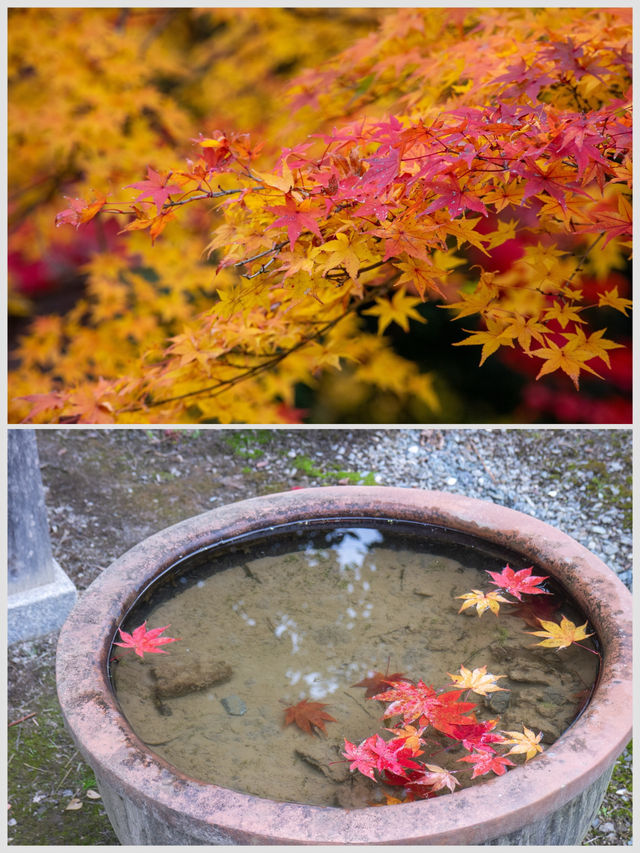 【京都府】龍穏寺