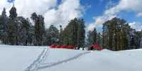 Kedarkantha - Best winter Trek