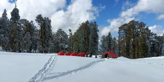 Kedarkantha - Best winter Trek
