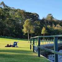 Sydney Splendor: Discovering the Charm of Australia's Iconic City