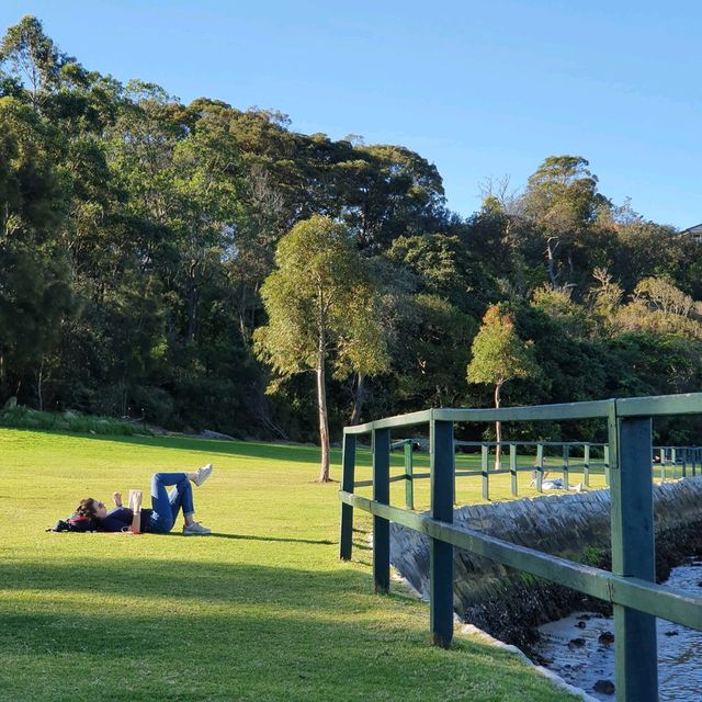Sydney Splendor: Discovering the Charm of Australia's Iconic City