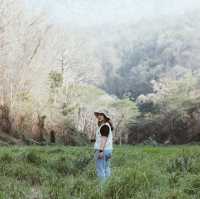 อ่างเก็บน้ำห้วยสามขา 🌱🍃 @MaeTha, Lampang