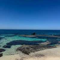 Island Escape: A Day Trip to Rottnest IslandDiscover the Beauty of Rottnest Island