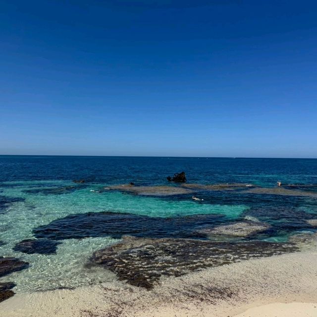 Island Escape: A Day Trip to Rottnest IslandDiscover the Beauty of Rottnest Island