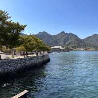 Island of Wonder: Exploring the Beauty and Charm of Miyajima!